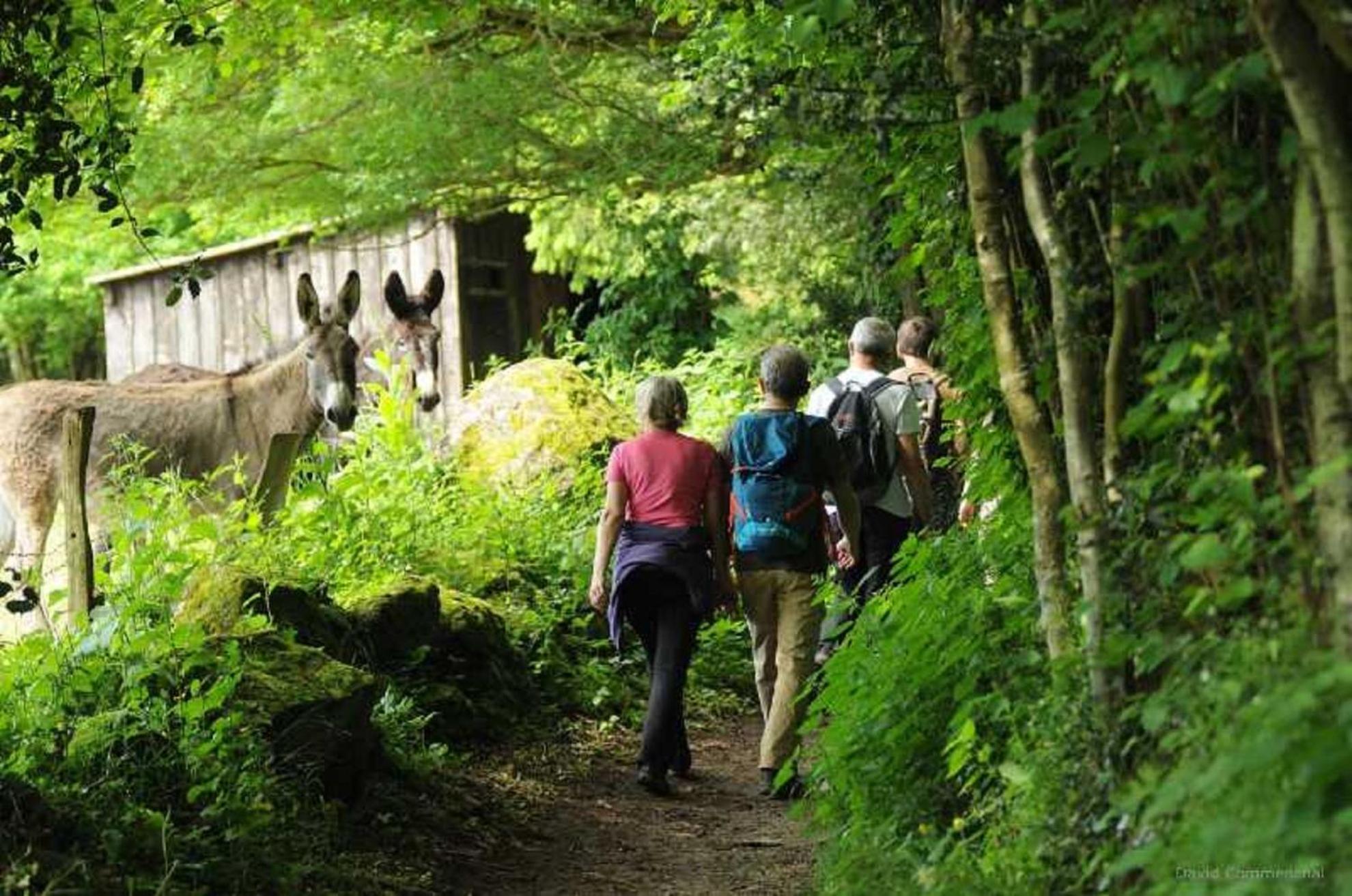 Gite De Fourneaux Pont-d'Ouilly Esterno foto